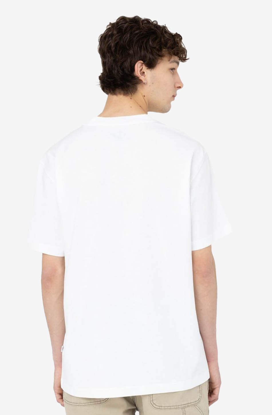 Dickies Summerdale White T-shirt