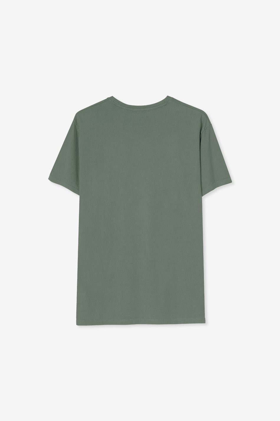 Camiseta Washed Swans Green