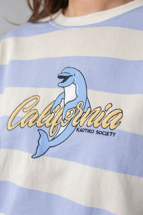 Sudadera Flipper Stripes Blue
