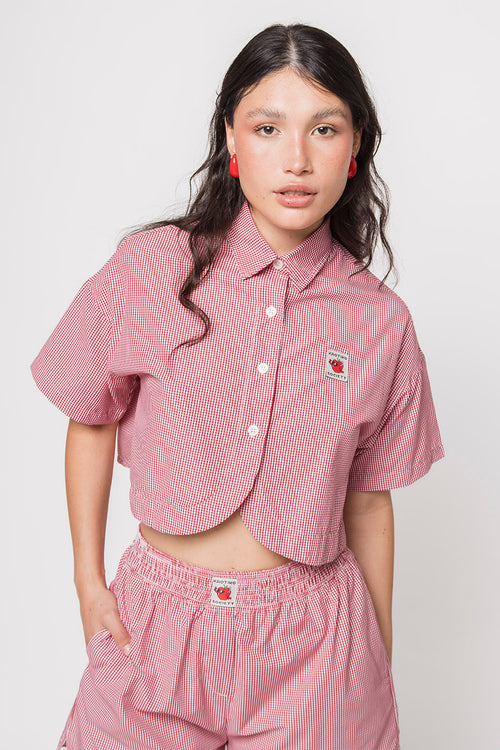 Camisa Apple Red Checked