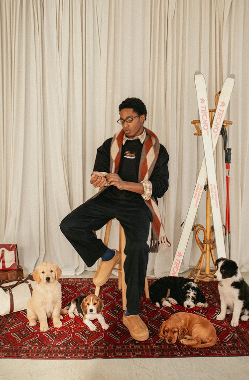 Sudadera Washed Dachshund Black