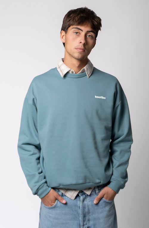 Sudadera Regular Iconic Denim