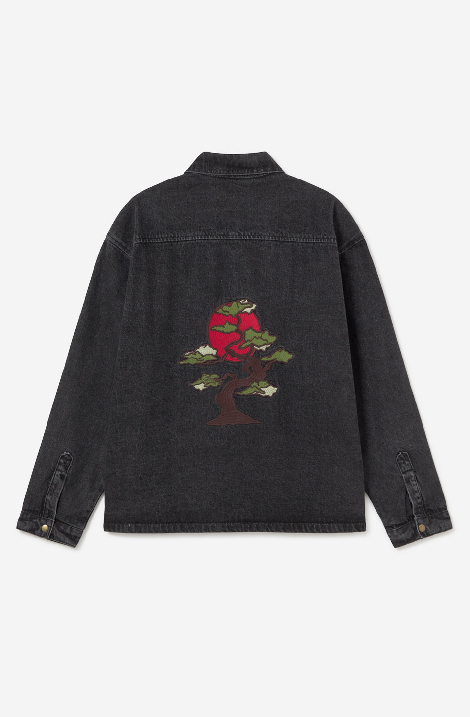 Chaqueta Bonsai Black