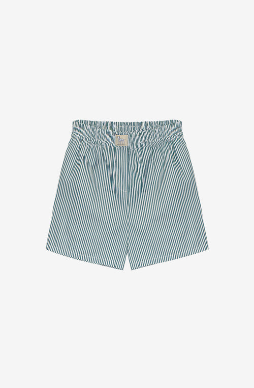 Bermuda Green Dalmatian Striped