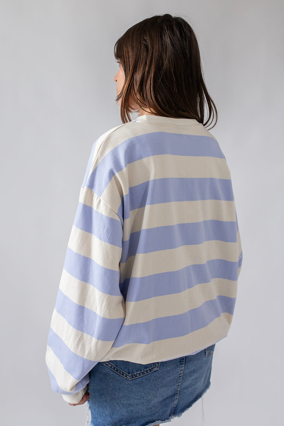 Flipper Stripes Blue Sweatshirt