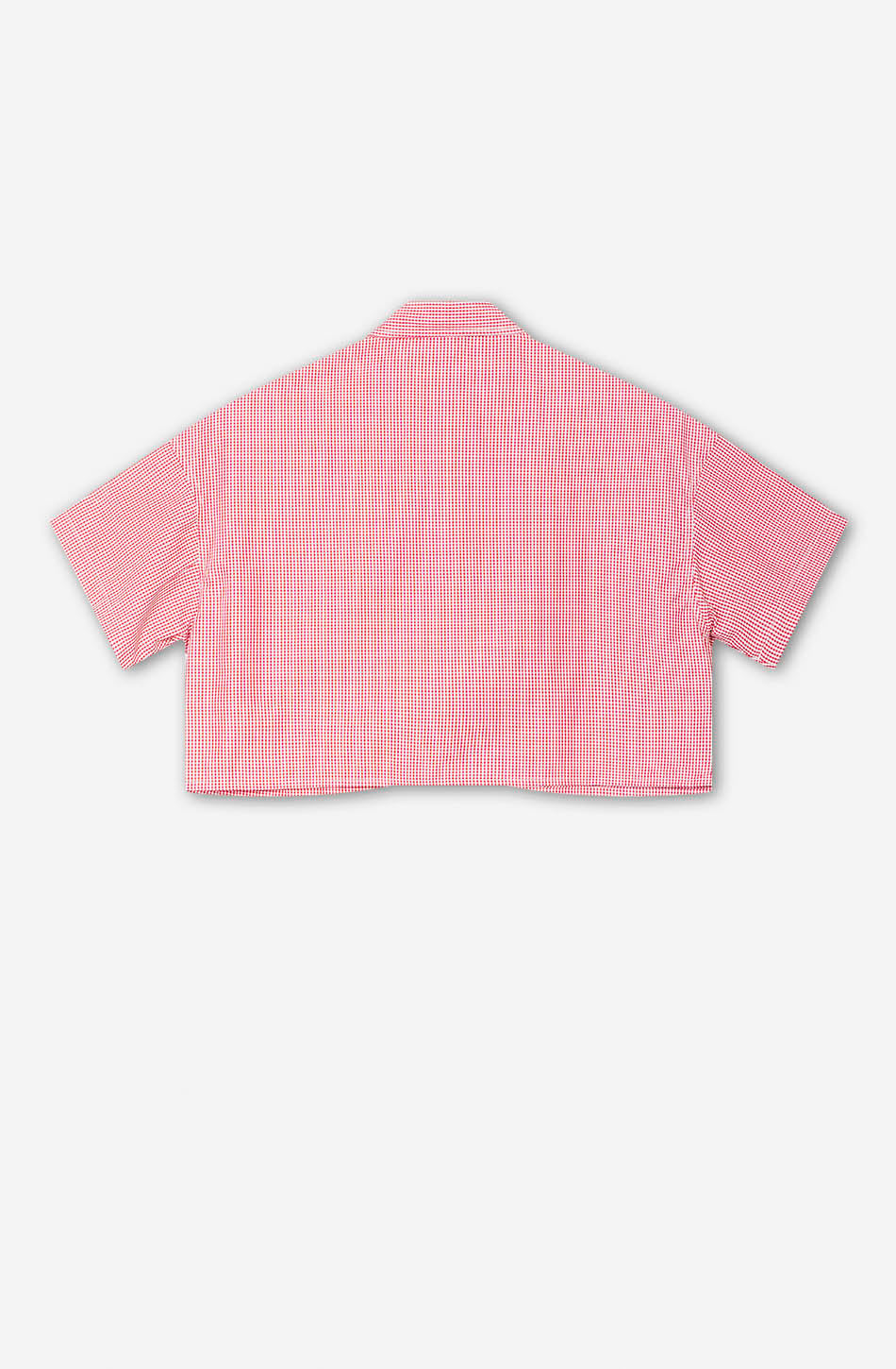 Camisa Apple Red Checked