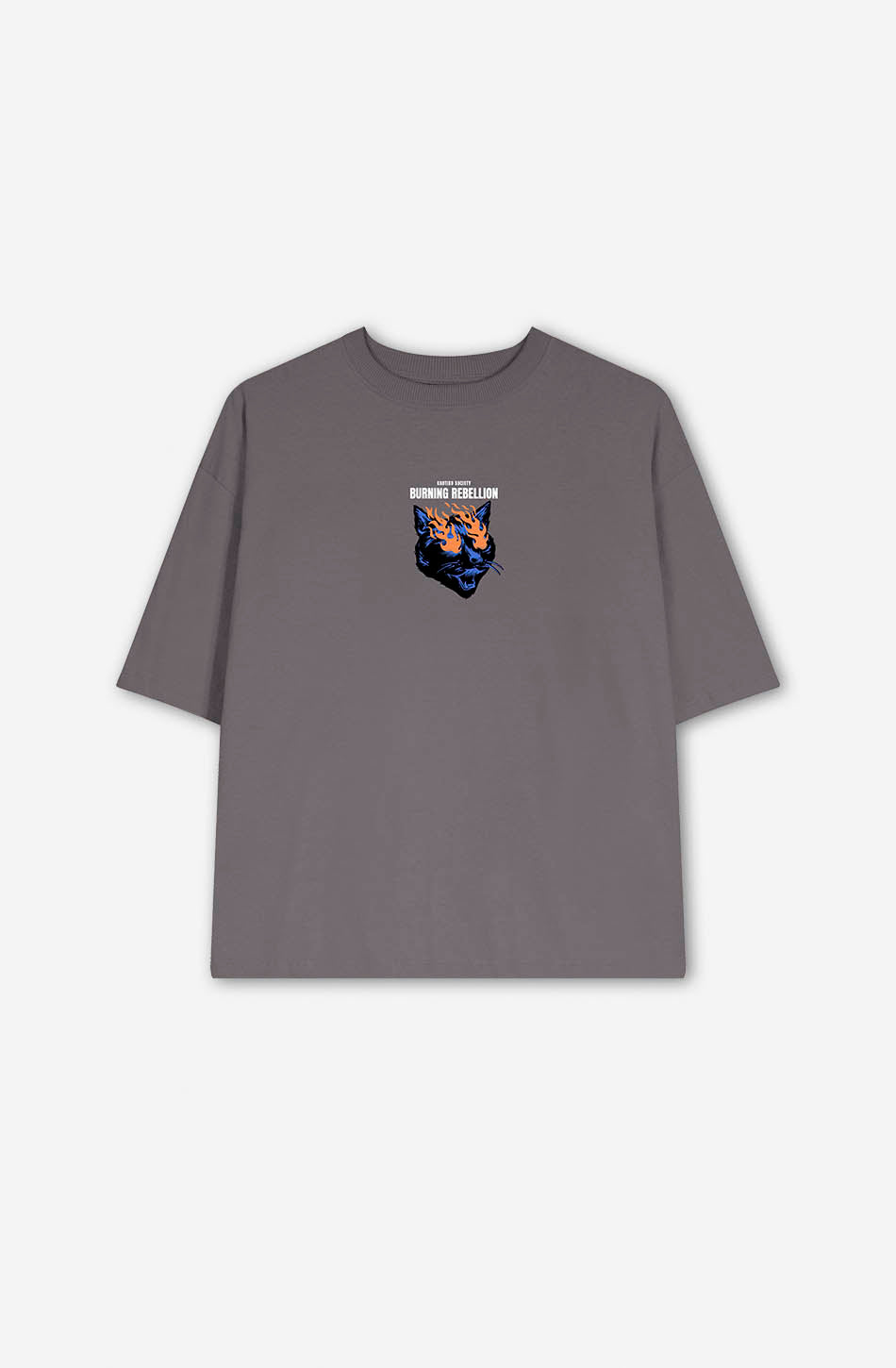 Camiseta Cropped Burning Rebellion Gray