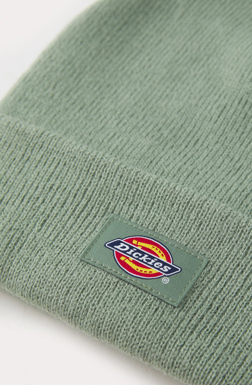 Gorro Dickies Gibsland Sea Spray