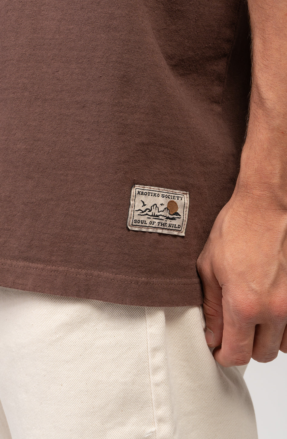 Camiseta Element West Brown