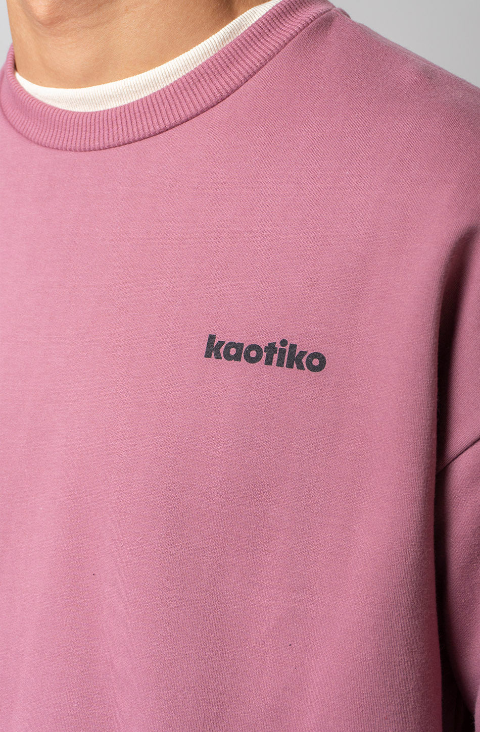 Sudadera Regular Iconic Cherry