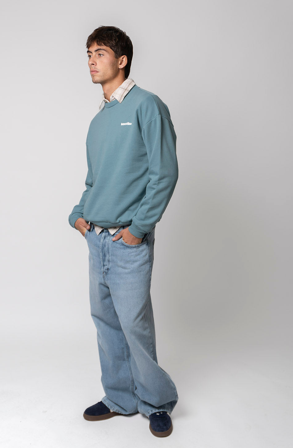 Sudadera Regular Iconic Denim