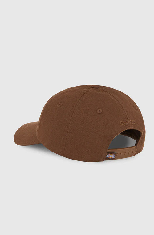 Gorra Dickies Hardwick Brown