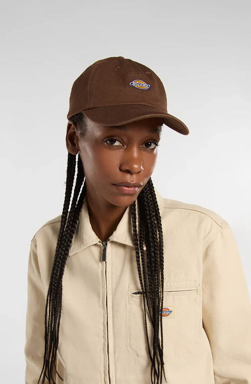 Gorra Dickies Hardwick Brown