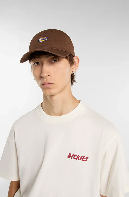 Gorra Dickies Hardwick Brown