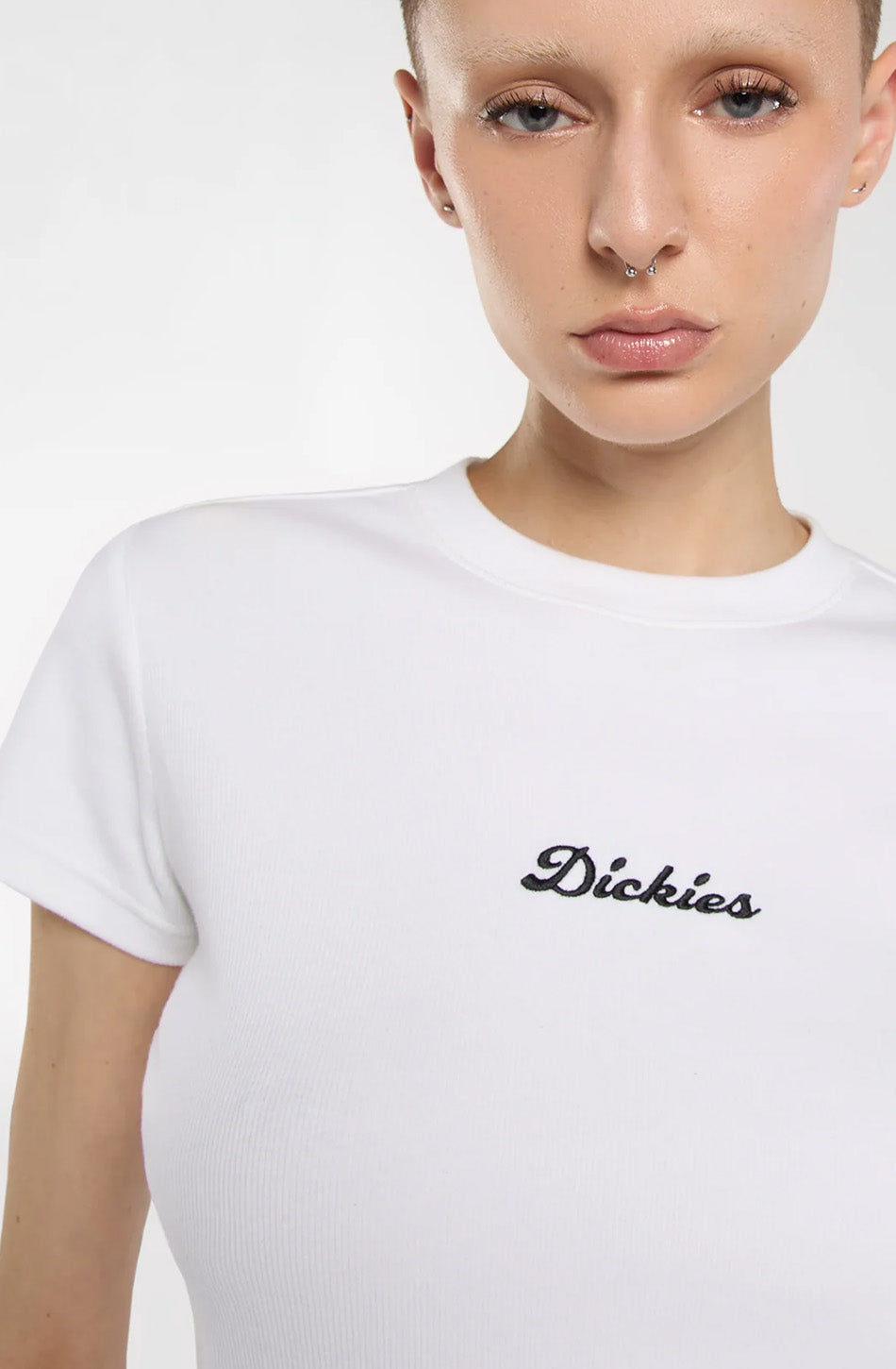 Camiseta Dickies Wellsville White