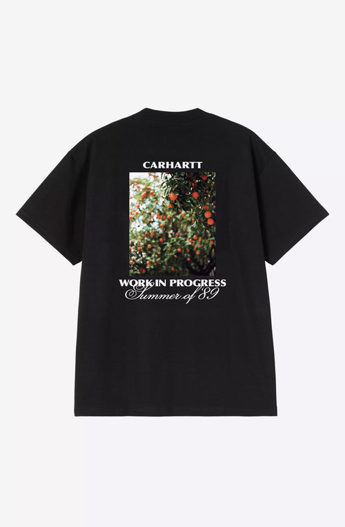Camiseta Carhartt WIP Warm Views Organic Black