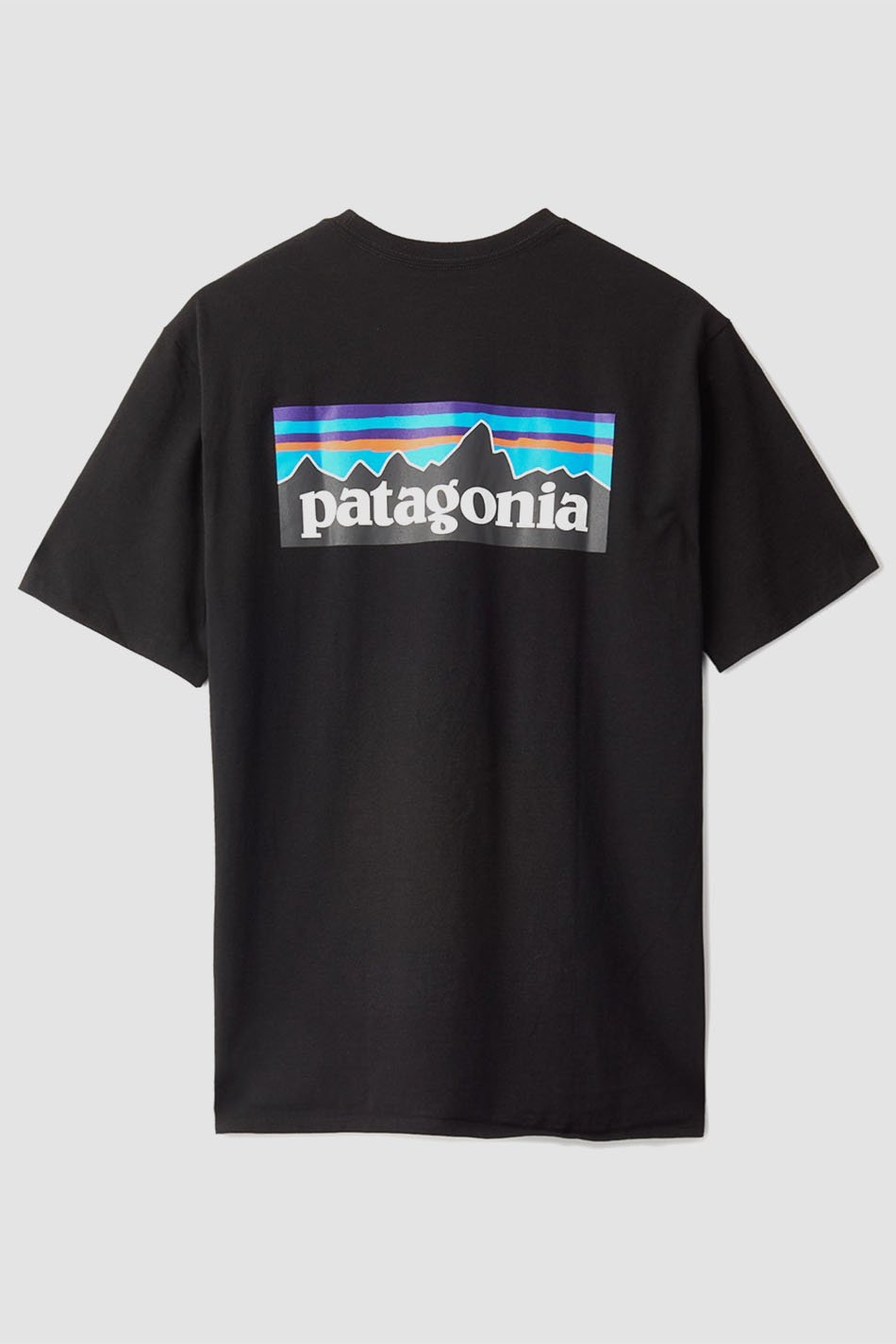 Patagonia P-6 Logo Pocket Responsibili-Tee®