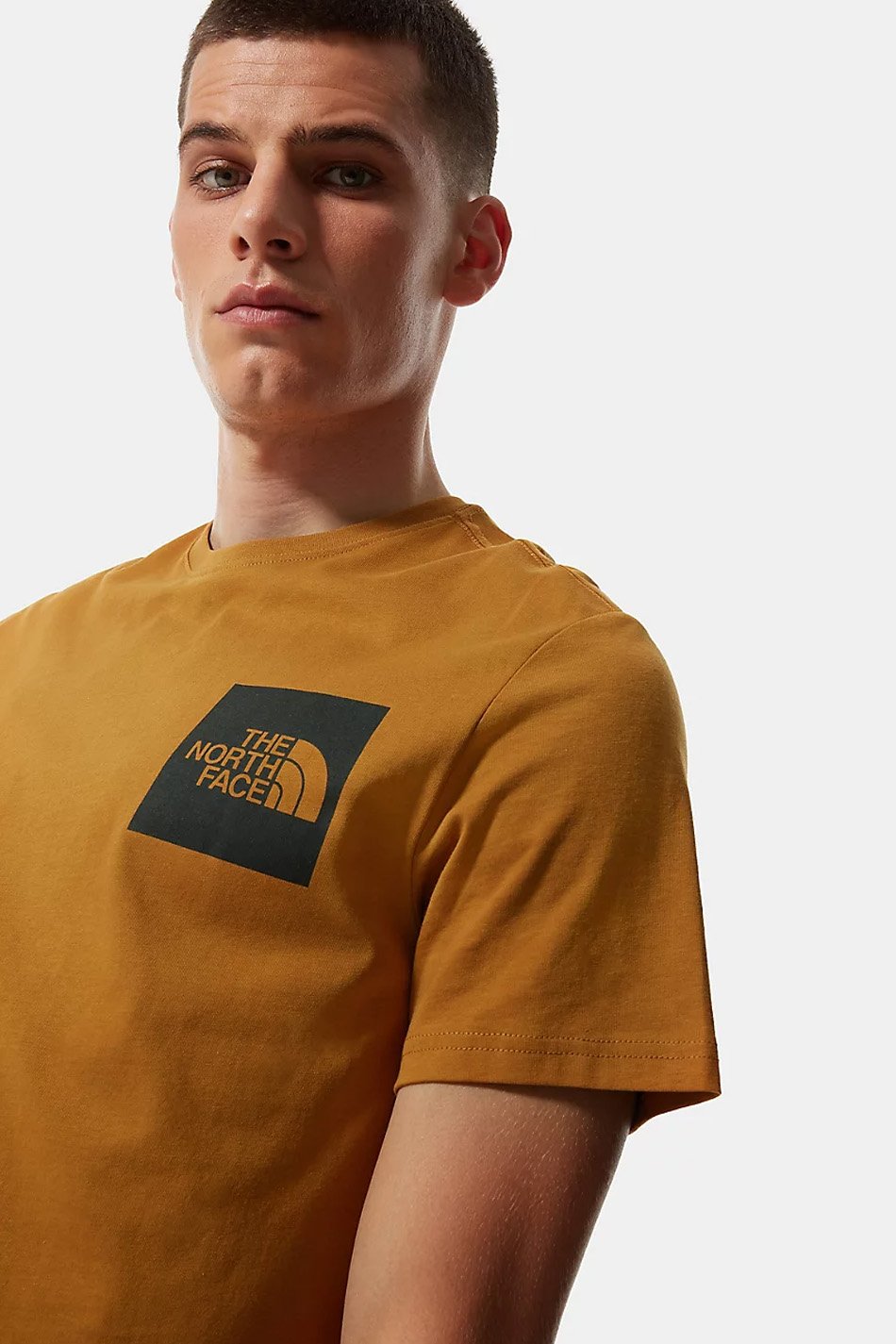 Camiseta The North Face Timber Tan