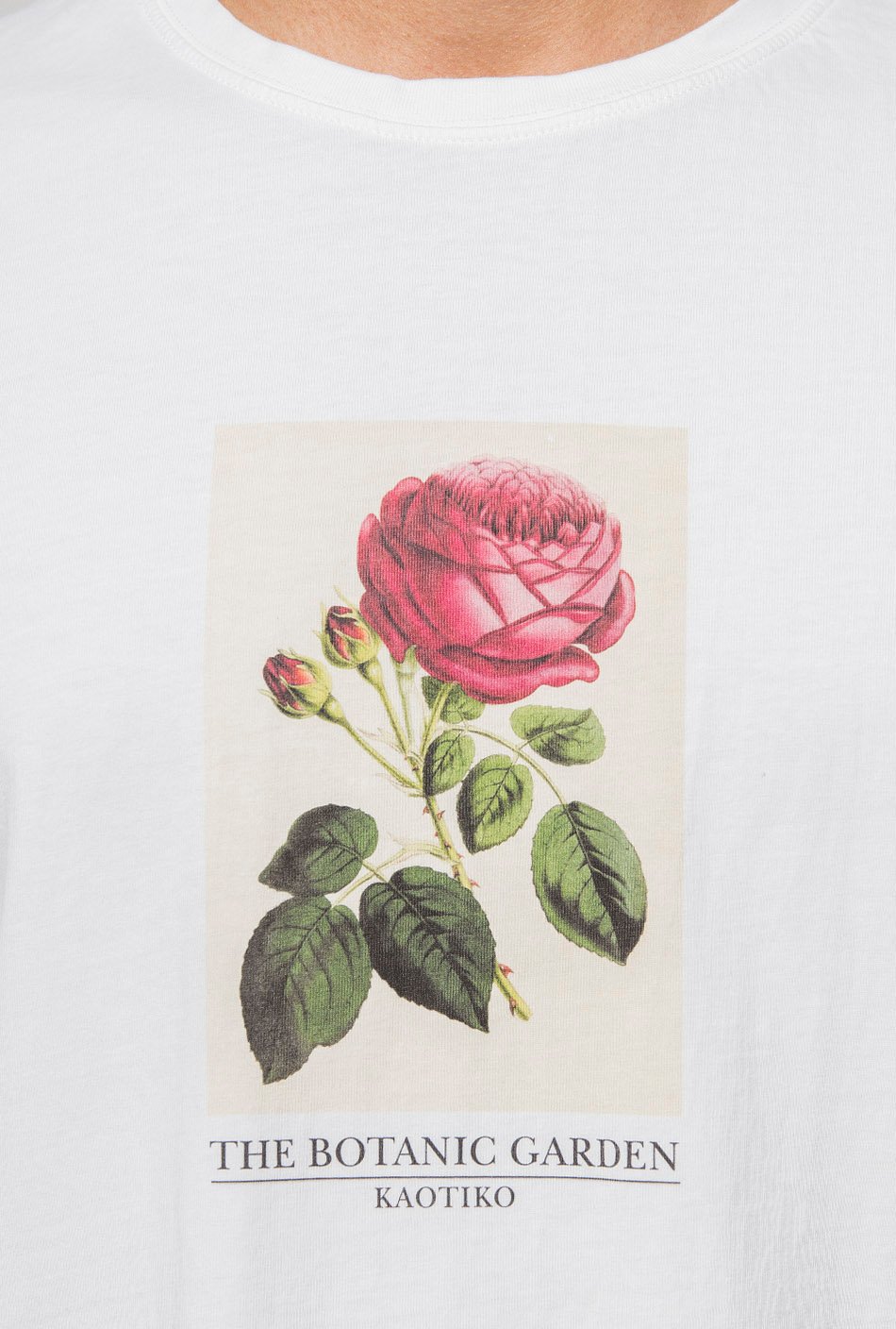 Rose White T-Shirt