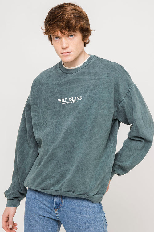Crew Washed Wild Island Sweatshirt
