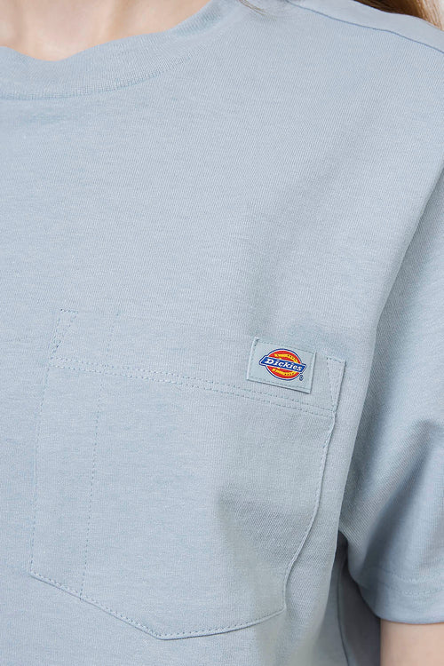 Dickies Porterdale blue shirt Crop