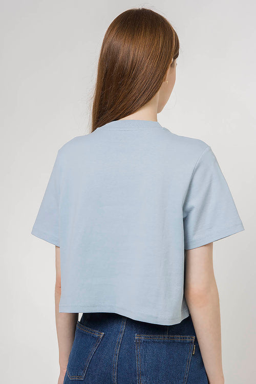 Dickies Porterdale blue shirt Crop