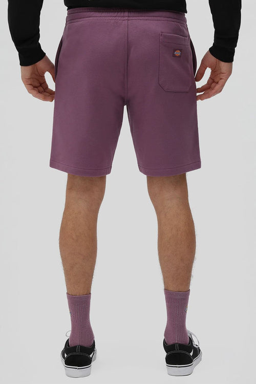 Dickies Champlin violet shorts