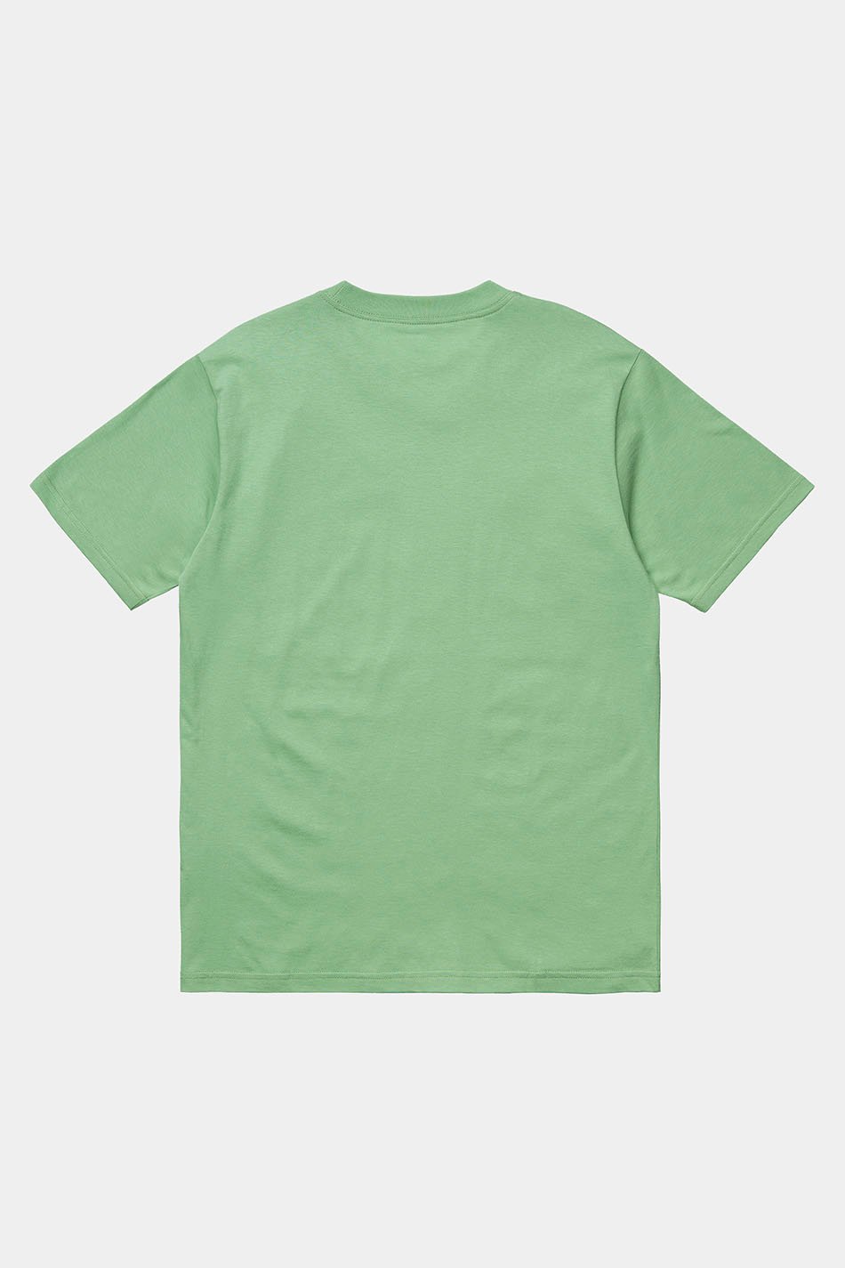 Carhartt WIP World green t-shirt