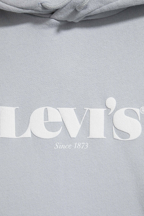 Blue Levis Standard Graphic Hoodie