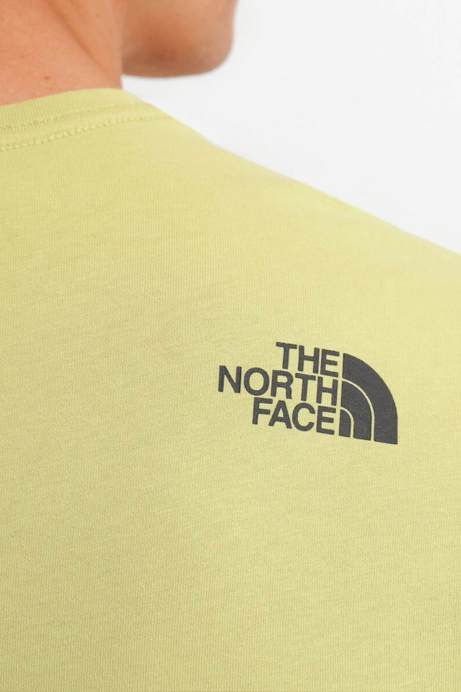 Camiseta The North Face