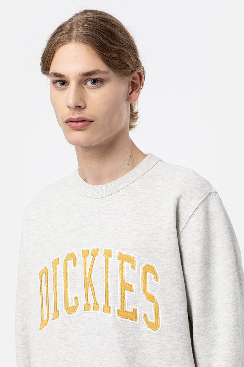 Sudadera Dickies Aitkin