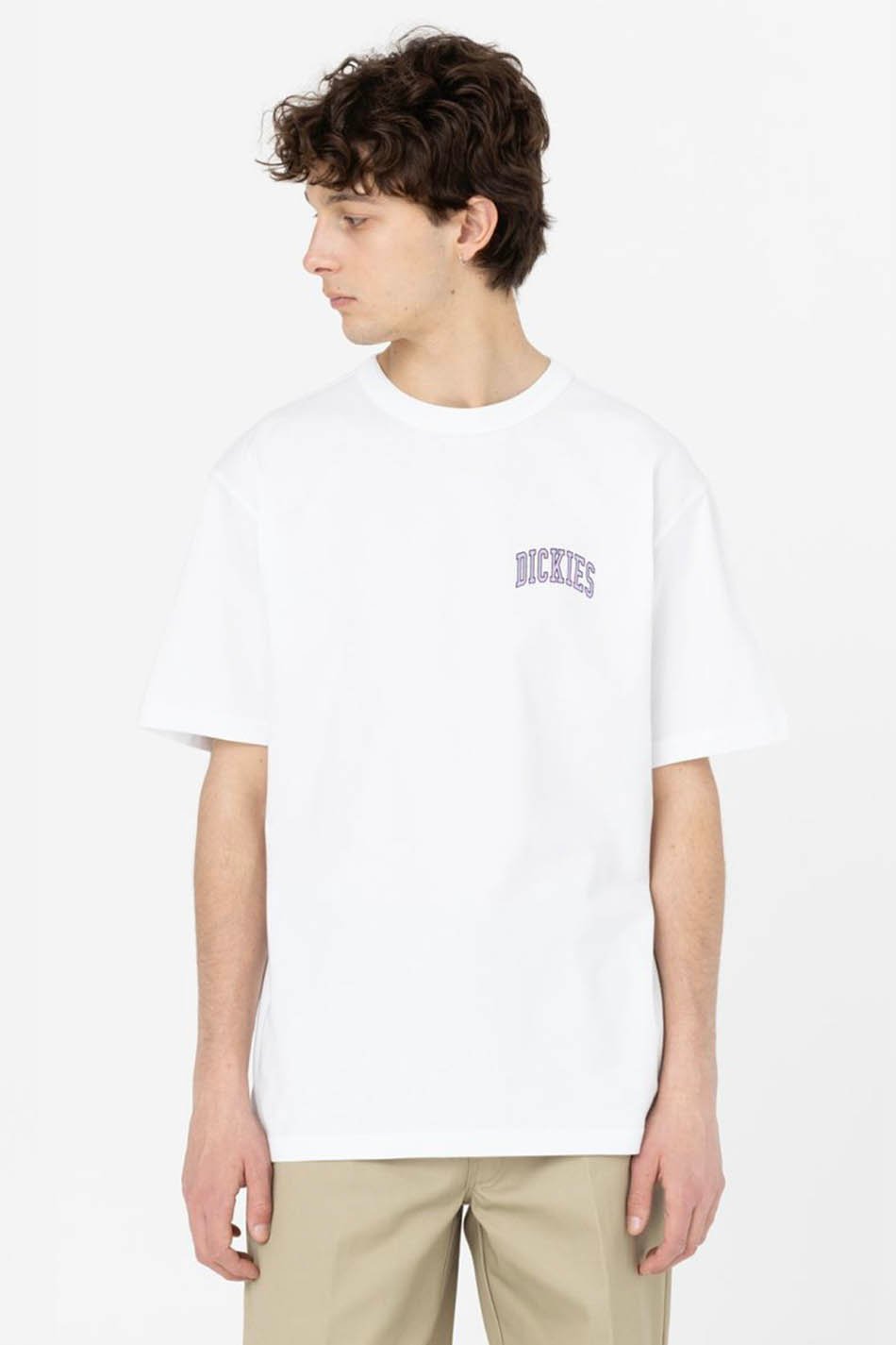 Camiseta Dickies Aitkin White