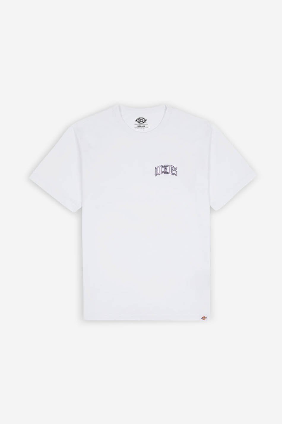 Camiseta Dickies Aitkin White