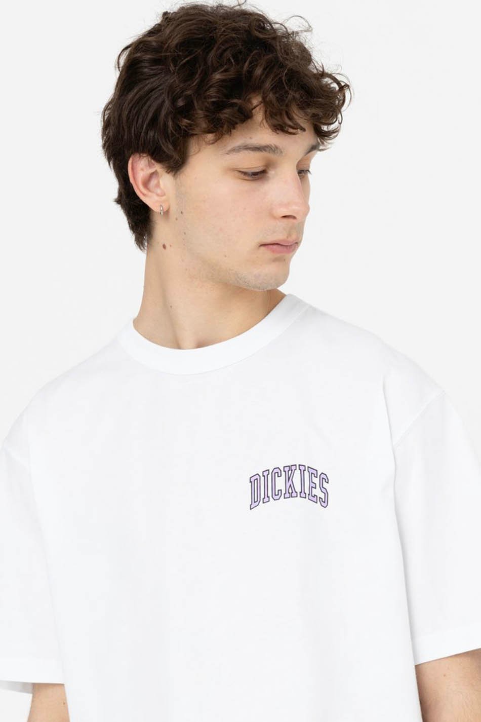 Camiseta Dickies Aitkin White