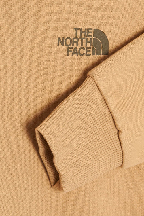 Brown The North Face Raglan Redbox Sweatshirt