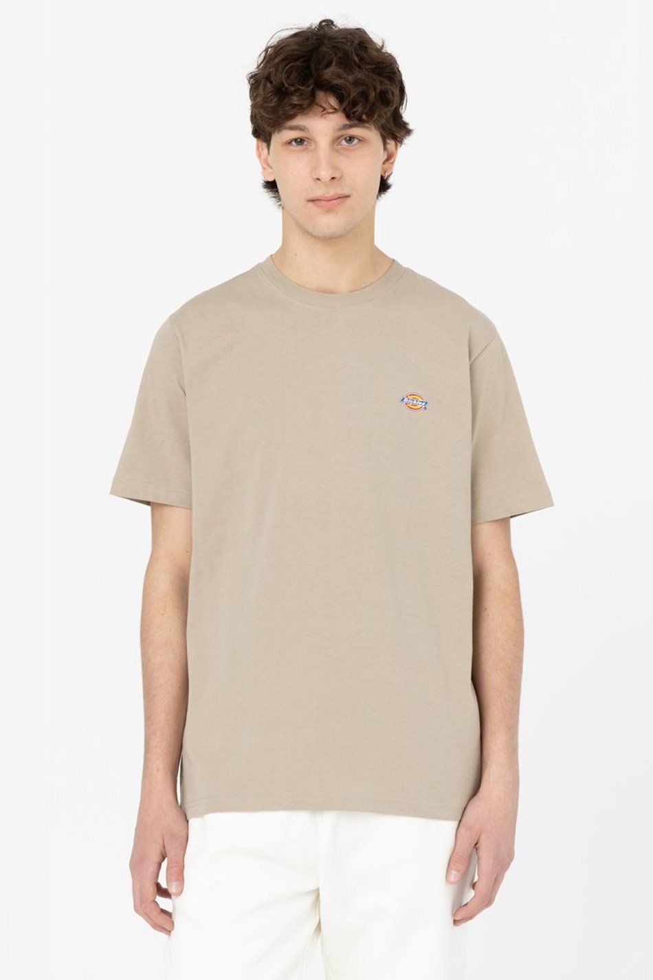 Camiseta Dickies Mapleton