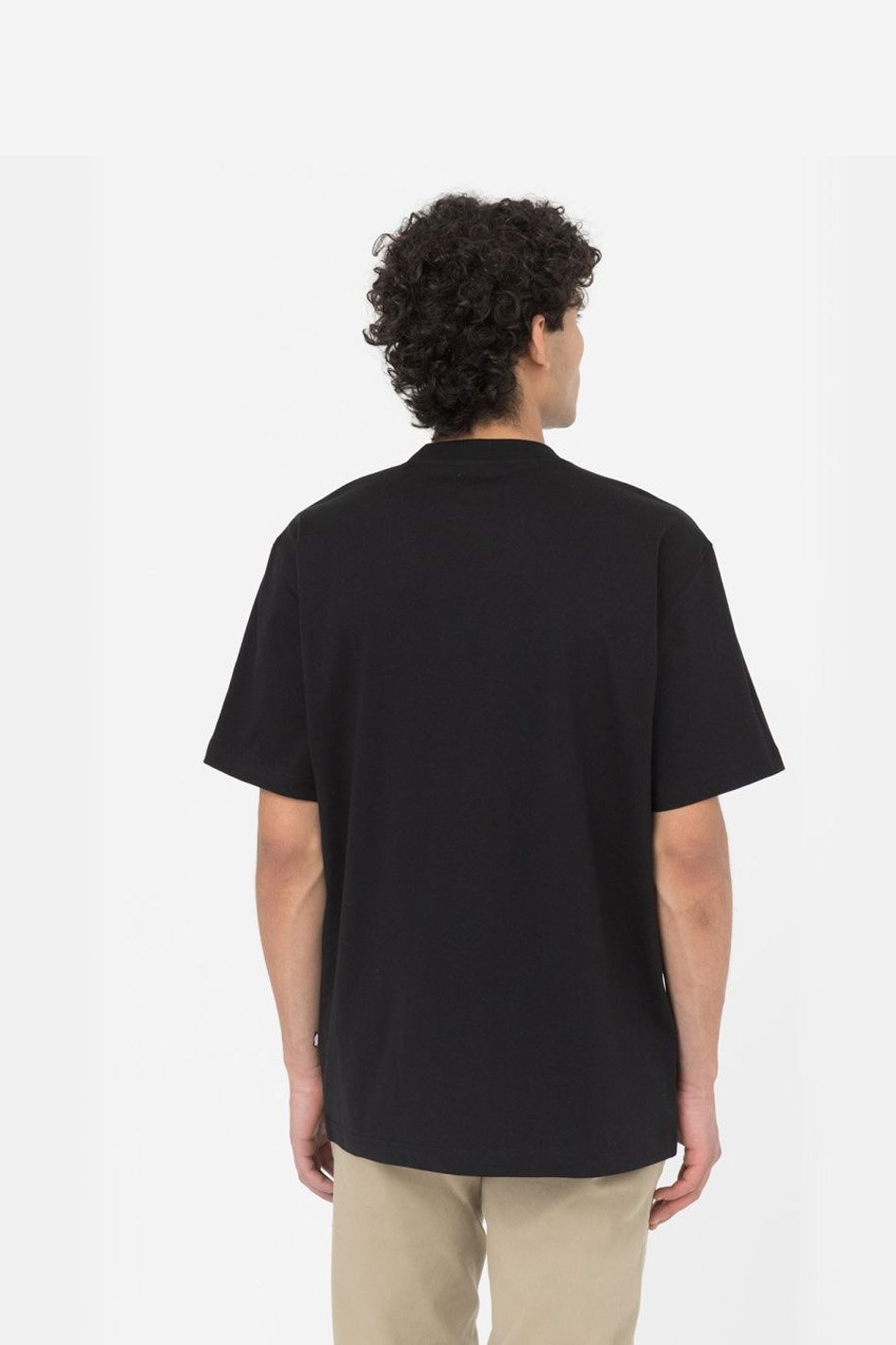 Camiseta Dickies Summerdale Black